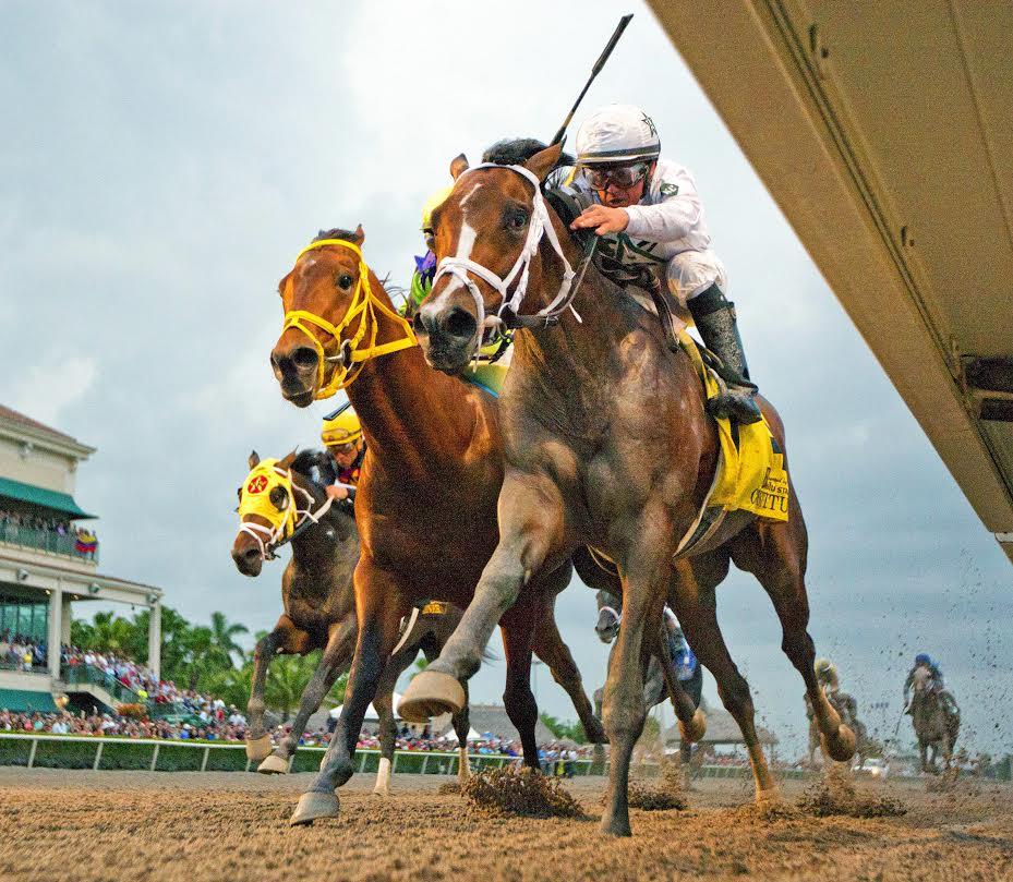 Florida Derby winner Constitution to miss Kentucky Derby WinStar Farm