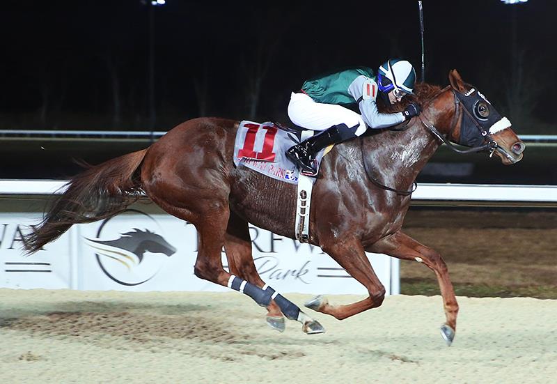 Carpe Diem's Wait for Nairobi wins Cincinnati Trophy in stakes debut