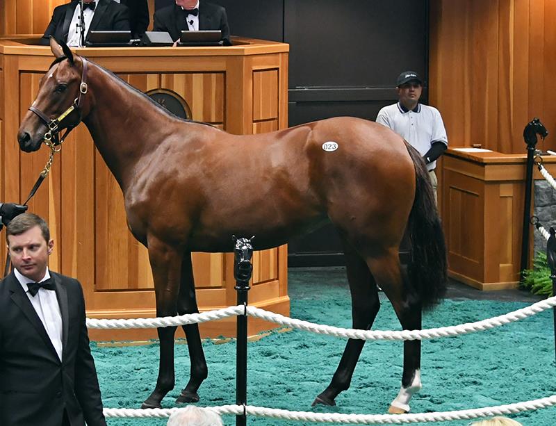 FasigTipton Saratoga sale a coming out for Carpe Diem WinStar Farm