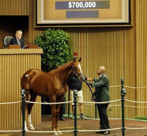 Distorted Humor $700,000 colt stars Monday at Keeneland - WinStar Farm