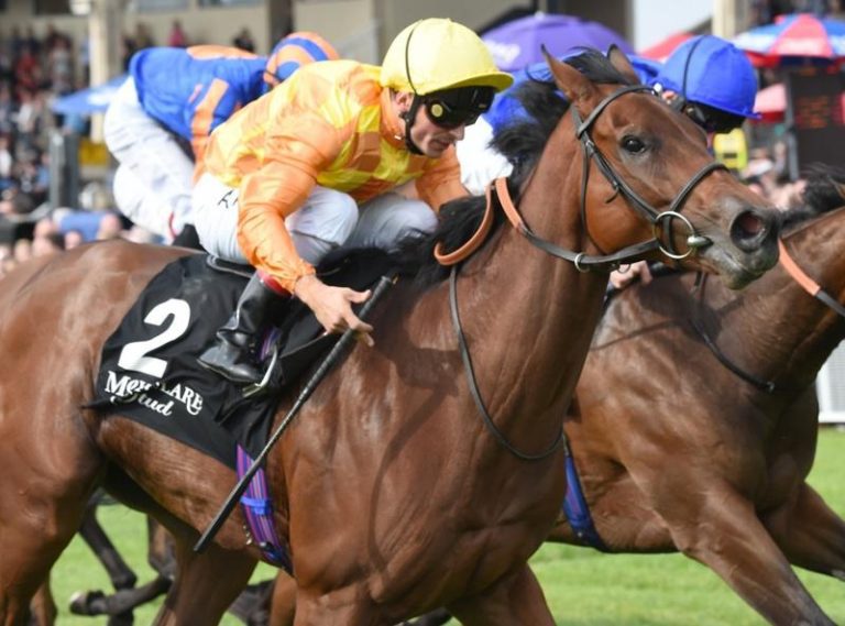 More G1 success for Distorted Humor - WinStar Farm