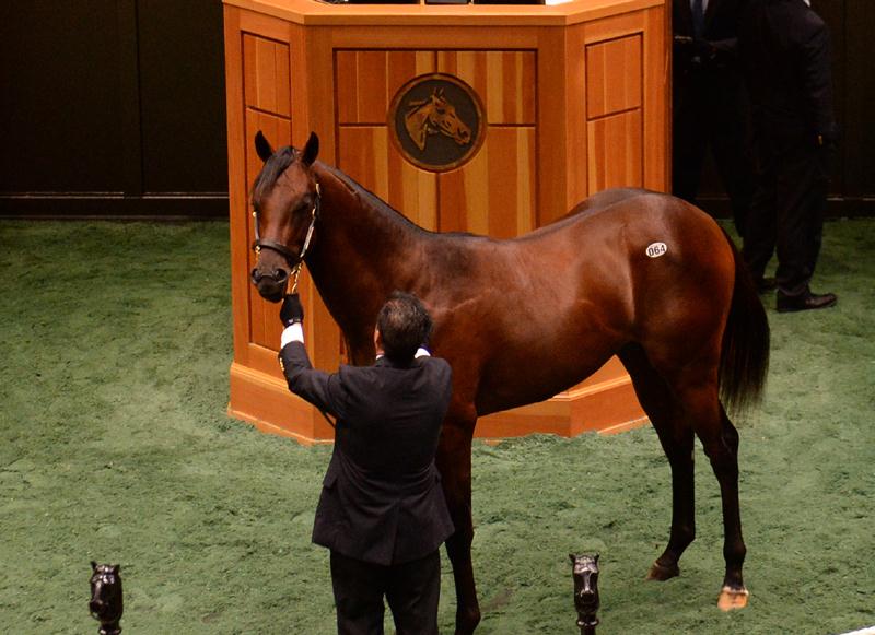 Drosselmeyer colt brings 300,000 at FasigTipton Saratoga sale