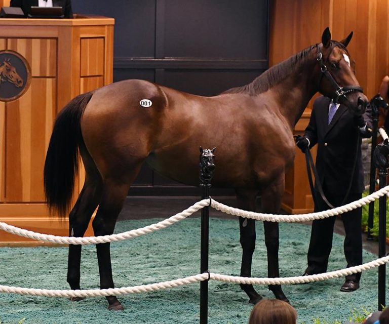 275,000 Exaggerator filly kicks off FasigTipton Saratoga Yearling