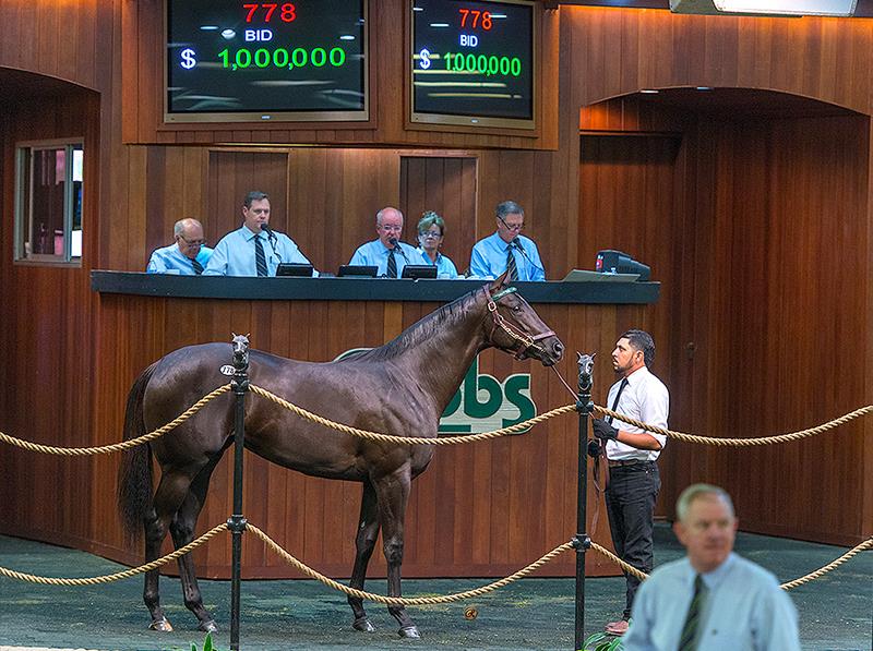 Behandle 945 Let at forstå Seven-figure More Than Ready filly highlights Thursday OBS April sale -  WinStar Farm