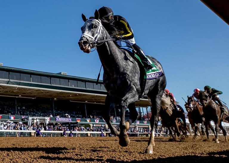 Breeders Cup Dirt Mile 2024 Aime Felicle