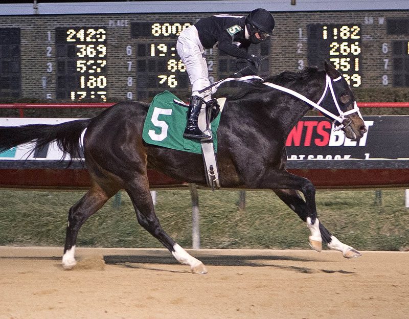 Good Samaritan's Rivzonaroll gets his first stakes win in the Sun Power S. at Hawthorne - FourFooted Fotos