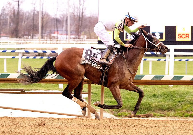 Hybrid Eclipse cruises to victory in the 2022 Thirty Eight Go Go S. - Jim McCue photo