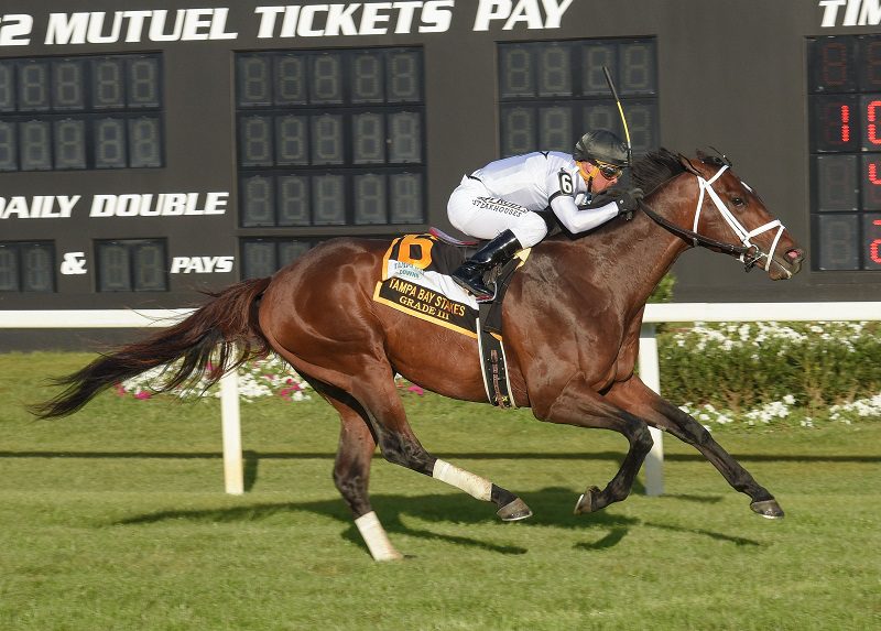 Emmanuel sets a track record in the 2023 Tampa Bay S. (G3) - SV photography