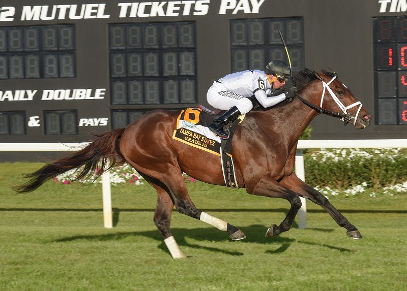 Emmanuel sets a track record in the 2023 Tampa Bay S. (G3) - SV photography