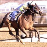 Hybrid Eclipse powers to victory in the 2023 Nellie Morse S. - Jim McCue photo