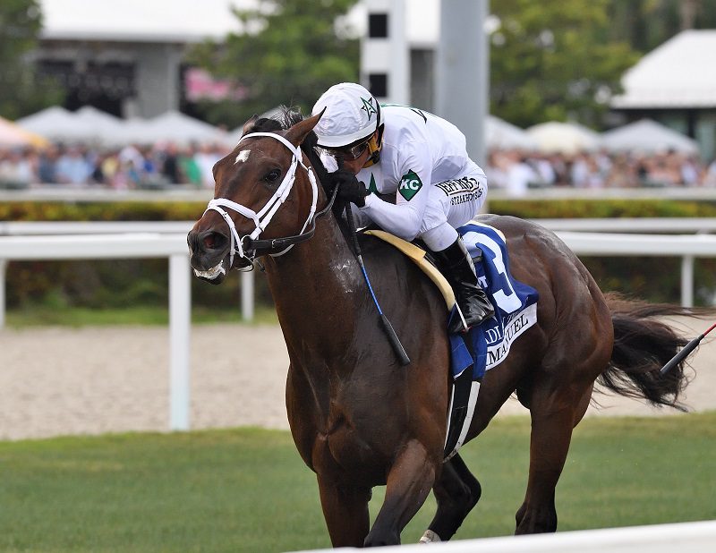 Emmanuel winning the 2023 Canadian Turf S. (G3) at Gulfstream Park - Ryan Thompson photo