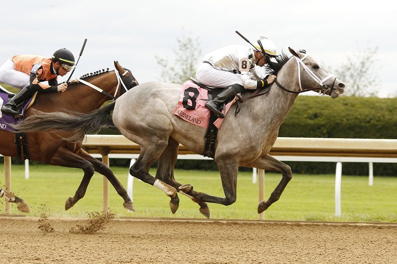 Saudi Crown wins his debut at Keeneland -Candice Chavez/Eclipse Sportswire/CSM