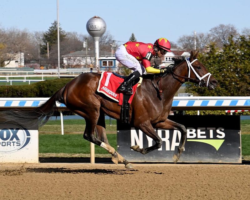 Falconet cruises to victory in the 2023 Top Flight Inv. - Susie Raisher/NYRA