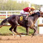 Misty Mauve gets her firs stakes win in the $100,000 Dahlia S. at Laurel Park - Jim McCue photo