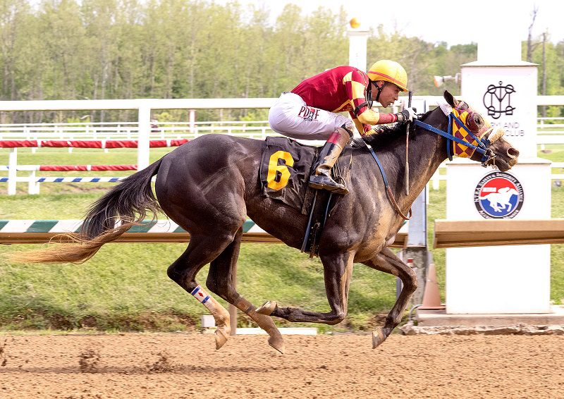 Misty Mauve gets her firs stakes win in the $100,000 Dahlia S. at Laurel Park - Jim McCue photo