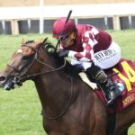 Webslinger winning the 2023 American Turf S. (G2) at Churchill Downs - Coady photo