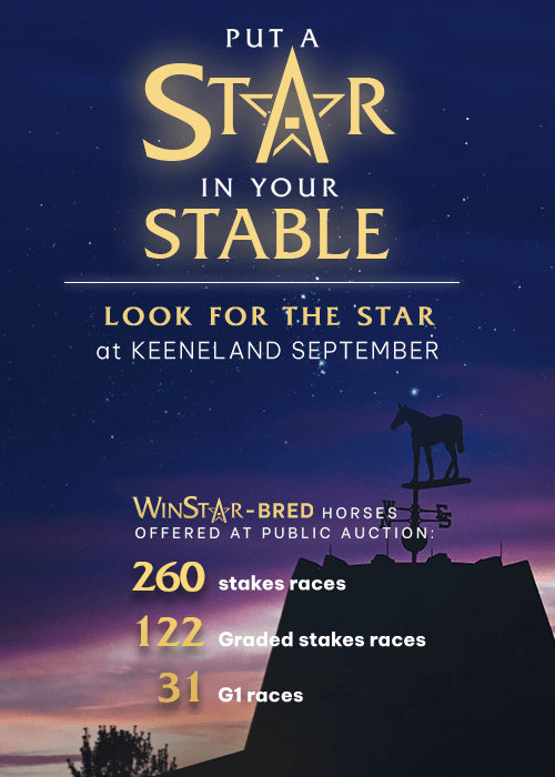 Look For The Star