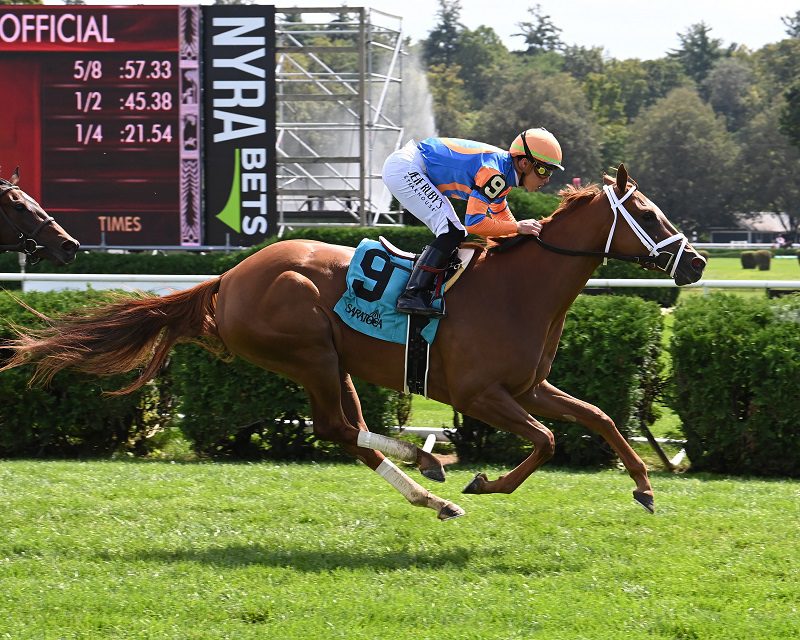 Life's an Audible rolls to her maiden win at Saratoga - Chelsea Durand/NYRA