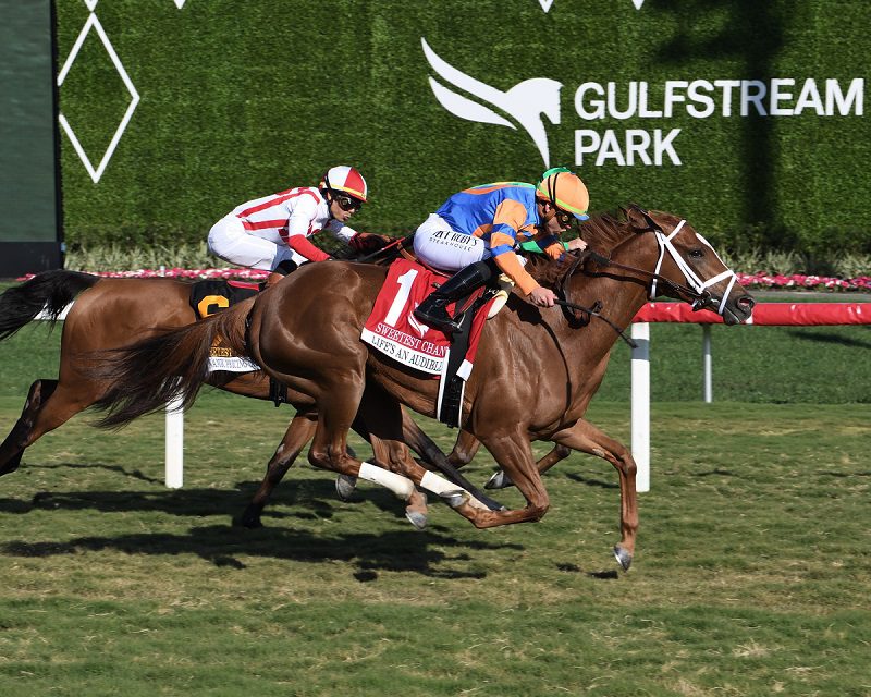 Life's an Audible holds off an obscured Style Points to win the Sweetest Chant S. (G3) - Coglianese photo