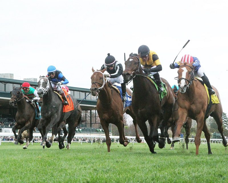 Neat (far right, red and white cap), wins the 2024 Transylvania S. (G3) - John Gallagher/Coady photography