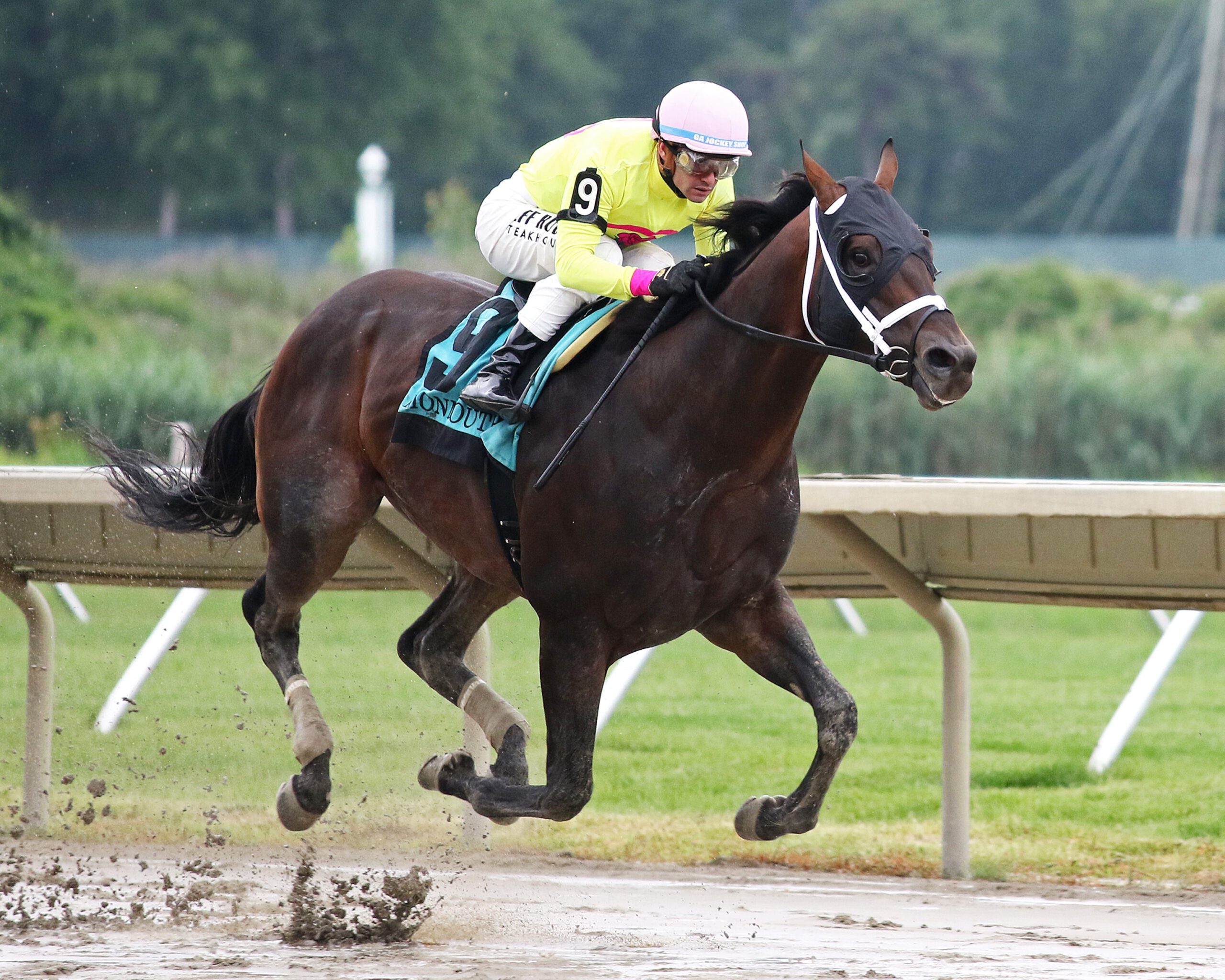 Bishops Bay, Admiral Dennis give WinStar-Breds a Saturday stakes double; Promising WinStar-Bred Claire’s Run dazzles in maiden victory