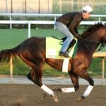 Cheif Wallabee training at Churchill Downs on April 17, 2026 - Renee Torbit
